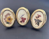small dried flowers in gold plastic frames