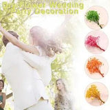 Natural Babysbreath Fresh Mini Babysbreath Dry Flowers Dried Cotton
