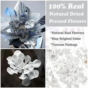 68 Pcs Gray Pressed Dried Flowers for Resin Molds, Real Natural Silver