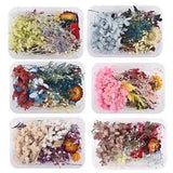 1Box Mix Dried Flowers Floral Nail Art Candle Epoxy Resin Mold Jewelry DIY Decor
