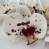 Artificial Orchid, Make your own Plant, Christmas Gift, Real Look Orchids, White & Red Spotted Orchid, Phalaenopsis, Faux Orchid Flower