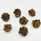50Pcs Natural Mini Pine Cones Nut Fruit Dried Flowers Christmas Tree Party Decor