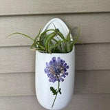 Ceramic Pressed Flower Wall Hanger Pot for Air Plant/Succulent/Orchid