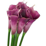 FiveSeasonStuff 6 Long Stems Real Touch Artificial Flowers (Purple) Calla Lily Bouquet, Home Wedding Party D¡§?cor DIY 25.2???? (64cm)