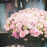 Paris Pink Rose photograph French Rose bouquet print Paris photo Christmas gift art lovers botanical wall art gift for her under 50