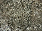 Mullein + Raspberry Leaf Healing Medicinal Organic Herbal Tea Mix 2 lb's POUND's