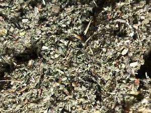 Mullein - Marshmallow Herb Mix Blend - Bulk Organic Healing Leaf - 1/2 oz ounce