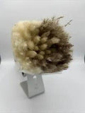 Pampas Grass 85-Pcs Dried Grass Decor NEW  Free Ship