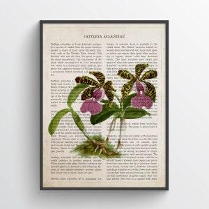 Orchid Dictionary Flower Print, Vintage Tropical Plant Illustration, Orchid Art Decor, Gifts for Gardeners, Botanical Housewarming gift