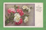 1930 white and red Dianthus carnation pink sweet William flower fern Birthday Gr