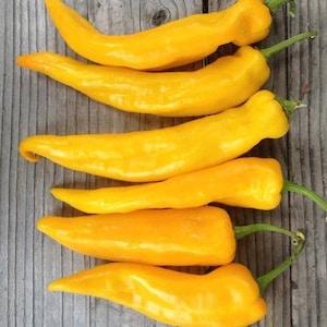 10 Sweet Heirloom Yellow Giant Marconi Pepper Seeds