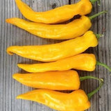 10 Sweet Heirloom Yellow Giant Marconi Pepper Seeds