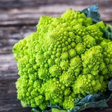 Cauliflower Romanesco Natalino 1g - 100 NON GMO Seeds - Brassica Oleracea
