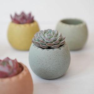 Ceramic Planters With Drainage Hole/Succulent Cactus Plant Pot/Small Fern Flower Pot Gift Garden Desk Decoration