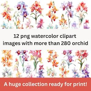 Watercolor Orchid Collection Clipart, AI Clipart, AI Generated with white background