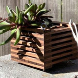 186. Salvaged Black Walnut Wood Hanging Basket Planter for Orchids, Bromeliads, Ferns, Cacti, Other Epiphytes and Succulents