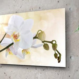 White Orchids Wall Art Calming Room Decor New Home Gift SPA Salon Decor Floral Glass Decoration Engagement Gift Idea