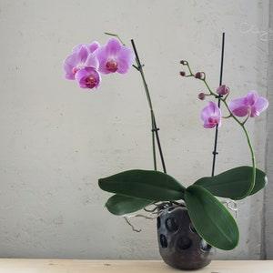 Handmade ceramic decorative planter. 5.5 inches black pottery pot with holes. Especially suitable for Moth orchids. Nordic minimalism.