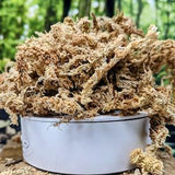 1/2 Gallon Long Fiber New Zealand Sphagnum Moss 2.5oz [70 Grams]