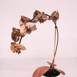 Orchid #1 Copper