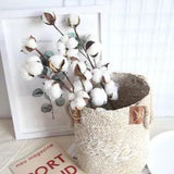 Naturally Dried 10 Heads Cotton Flower with Long Stem for Home, Wedding etc