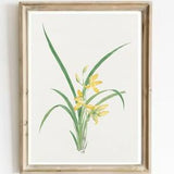 Orchid Vintage Print-Flowers Orchid Antique Watercolor Art-Orchid Print-Botanical Vintage Print-Antique Flowers Print-French Country Art