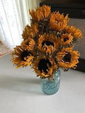 SUNFLOWERS * DRIED FLOWER Bunch BOUQUET Bundle ORANGE USA Grown Flowers Auc.#1