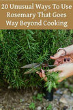20 Unusual Ways To Use Rosemary That Goes Way Beyond Cooking Flower Delivery