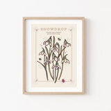 Snowdrops Wall Art Print, January Birth Flower Meaning Illustration Print