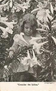 Postcard Girl Flowers Consider The Lilies Divided Back