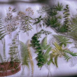 Aesthetic Large Plant Sticker Pack 20pcs- Green Stickers-Clear Stickers