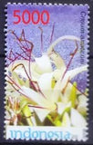 Indonesia 2008 MNH, Flowers, Crinum asiaticum, Spider lily