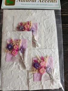 Real Pressed Flowers Card Handcrafted - Crafts Scrapbooking - Vintage Sealed #24