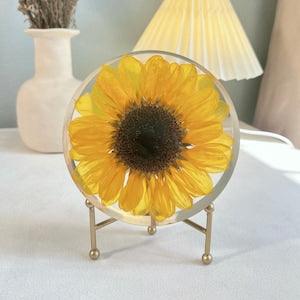 Sunflower Gifts Real Sunflower Set In Resin Dry Flower Art Sunflower Decor Anniversary Gifts for Her Best friend Gifts