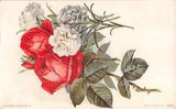 Lovely Red Roses & White Carnations on 1909 Postcard - No. 1085