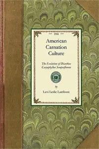 American Carnation Culture: The Evolution of Dianthus Caryophyllus Semperflorens