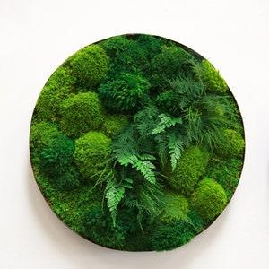 Plant Painting?- No Care Green Wall Art. Real Preserved Plants. Whiskey Round