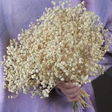2500+ Dried Baby'S Breath Flowers Bouquet - 17.2'' Natural White Dry Flowers Bul