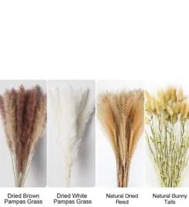 Dried Papmas Grass Flowers 90pcs New In Box LOOK