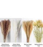 Dried Papmas Grass Flowers 90pcs New In Box LOOK