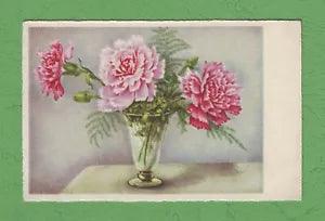 1930 white and red Dianthus carnation pink sweet fern William flower fern postca