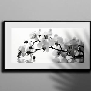 Black and White Orchid Print, Flower Art, Flower Wall Art, Wall Art Prints, Floral Prints, Orchid Photography, Orchid Prints, Botany Prints