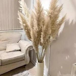 10 Stems Natural Pampas Grass Decor Tall (47 Inches) Pompas Floral Large