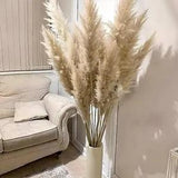 10 Stems Natural Pampas Grass Decor Tall (47 Inches) Pompas Floral Large