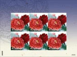 Micronesia 2009 - Peony Flower - Stamp Sheet Of 6 - MNH