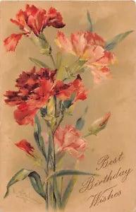 Beautiful Red & Pink Carnations on 1909 Birthday Postcard-Artist Catherine Klein