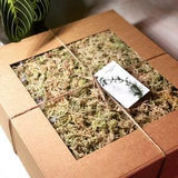 Premium quality dried sphagnum moss from peatlands of Latvia (100% natural, picked and cleaned with hands)