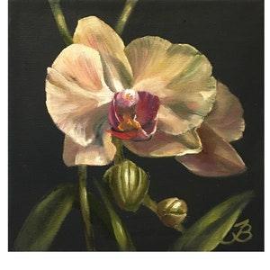 Orchid Painting Flower Original Art Floral Wall Art Small Oil Painting 8 by 8 Inches by ArtByBrencane