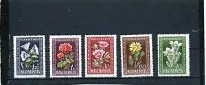 HUNGARY 1950 FLOWERS/PEONIES SET OF 5 STAMPS MNH