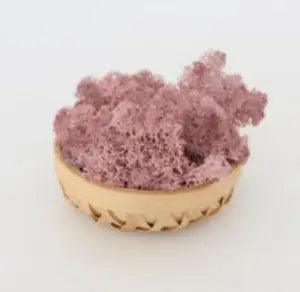 Perpetual Moss Perpetual Seaweed - Deep Taro Purple
